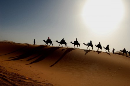 Desert Trip